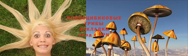 бошки Белоозёрский