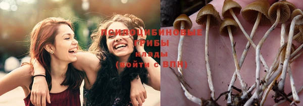 Альфа ПВП Калининец