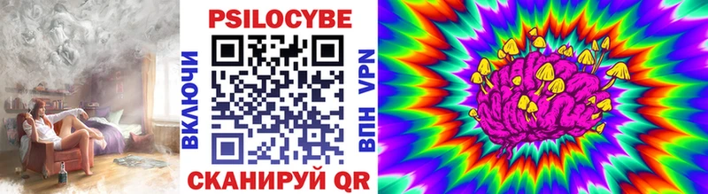 Псилоцибиновые грибы прущие грибы blacksprut вход Вельск где продают наркотики